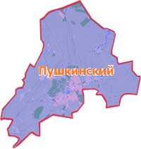 ремонт-стиральных-в-пушкинском-районе